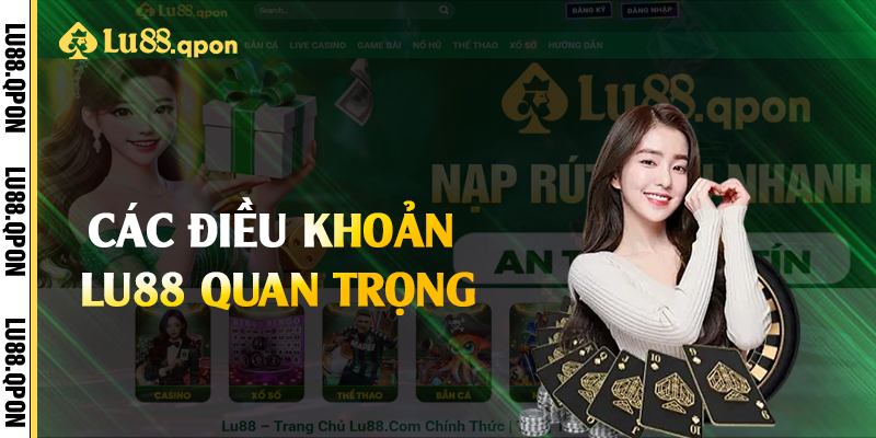 Các điều khoản Lu88 quan trọng